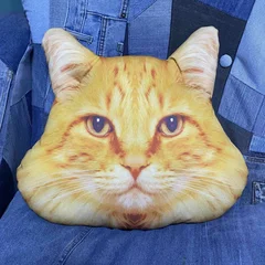 подушка Руденький Кіт